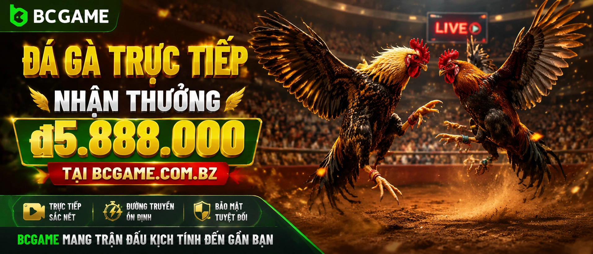 Danh mục Đá Gà trên nền tảng bcgame.com.bz