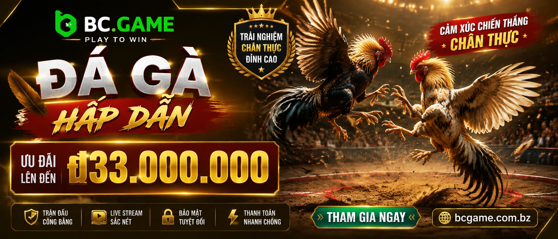 Đá Gà ưu đãi và danh mục nội dung trên bcgame.com.bz